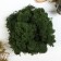 The moss stabilized "dark green" 45 gr (+-5 gr).