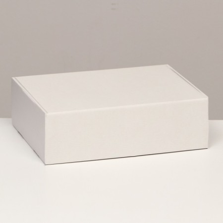 Self -charged box, white, 31 x 22 x 9.5 cm