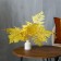 Sukhotzet "Paporotnik", yellow, 10 pcs. packaged
