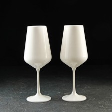 Set of glasses for the wine 