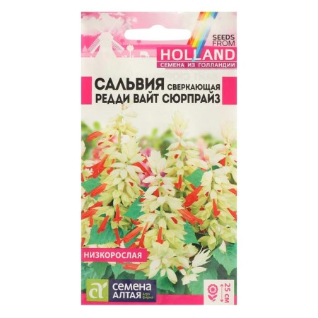 Salvia flower seeds "Reddi White", surprading, sparkling, this. Alt, c/n, 5 pcs