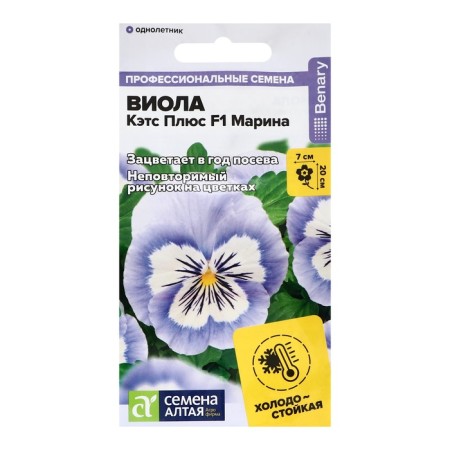 Flowers of Viola Cats Plus F1 Marina, C/P, 4 pcs.