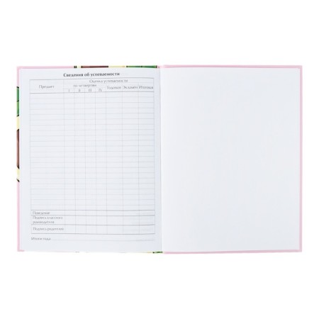 Universal diary for grades 1-11, avocato, solid cover 7BC, glossy lamination, 40 sheets-8