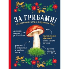 For mushrooms. Pocket atlase disclosure. Ilyina T.A.