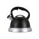 Teapot Regent Inox Tea, with a whistle, 2.8 l + a titt gift for brewing tea