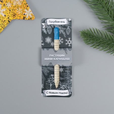 Growing gift pencils Mini "Blue spruce"