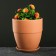 Pot Flower Terra No. 2 0.75 l, terracott