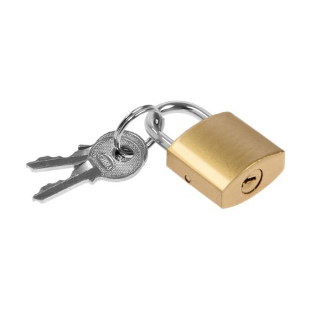 The castle of a hinged type 14, 20 mm, 2 keys-1