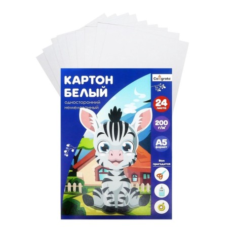 White cardboard A5, 24 sheets, non -moped, density 200 g/m2, in the folder-2