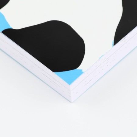Diary of a creative person A5, 120 l. "Panda"-2