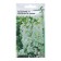 Angelonia flowers "Serenite F1 White", 3 pcs