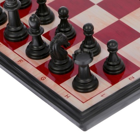 Chess "classic", on a magnet, 24 x 24 cm-7