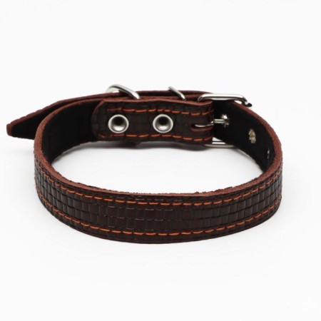 Leather collar with embossing on synthetic winterizer, 55 x 2.5 cm, Osh 35-45 cm, brown