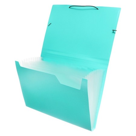 Folder Carder Calligrata watercolor 13 department. A4 plastic 0.7mm mint, black resident-1