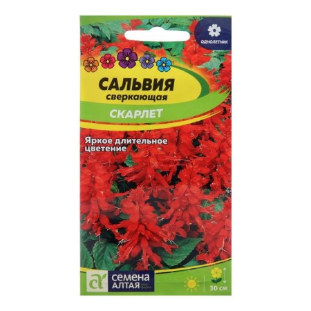 Salvia flowers "Scarlet", sparkling, sed. Alt, c/p, 0.1 g
