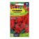 Salvia flowers "Scarlet", sparkling, sed. Alt, c/p, 0.1 g