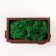 Kashpo concrete mini "Retro radio" with moss light brown 8x4x4.5cm (moss green stabil.)