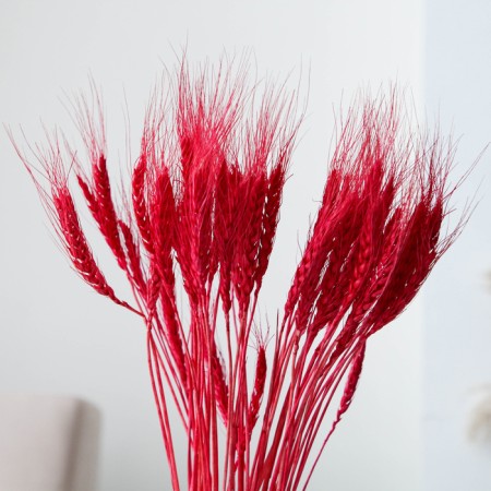 Dry Column of wheat, set 50 pcs., Red color-1