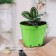 Pot for seedlings, 5 l, d = 22 cm, h = 18 cm, green, greengo