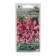 Flower seeds lion Zev "Snabbing Pink", 10 pcs