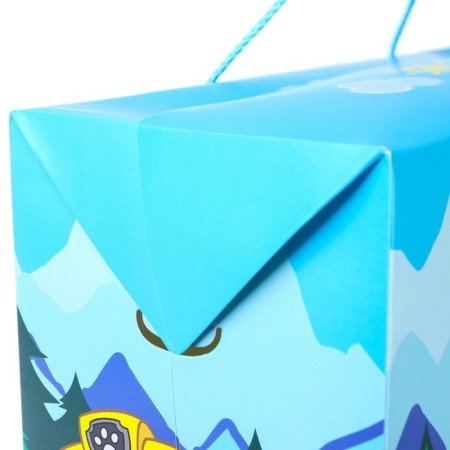Package-Korobok, 40 x 30 x 15 cm, packaging, puppy patrol-3