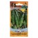 Cucumber seeds "Bax", F1, series Geography, 0.5 g