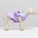 Dogs for dogs with a zipper "Amethyst", size S, lilac (DS 20, Osh 28, OG 39 cm)