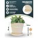 Pot for flowers and plants with a pallet, 3l sand 18x18x20cm