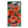 Flower seeds nasturtium terry "Salmon" 10 pcs