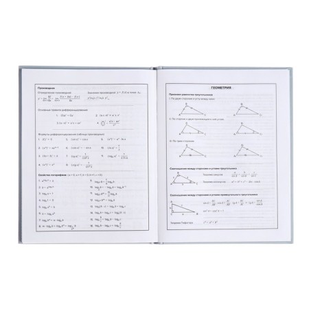 School diary for grades 1-11, "blue", covered paper cover, hard binding cardboard 7BC, matte lamination, universal cheat sheet, 48 sheets, block 65g/m2-8