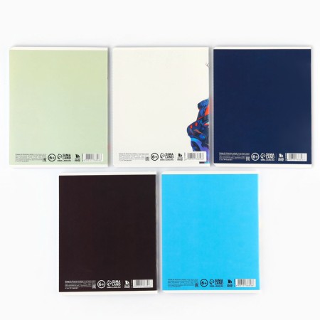 A notebook in a cage, 48 sheets A5 on a paper clip 5 pcs., Inner block No. 1 Mix “September 1: Anime Guys” Twin Lac, Uf Lac-9