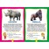 Animals of the world. Photo book for the smallest