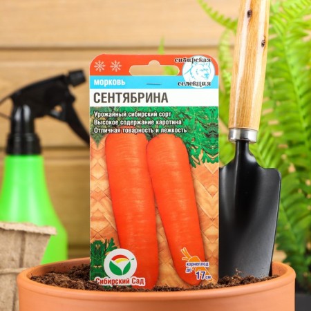 Seeds carrots "September", 2 g