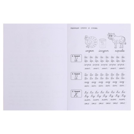Transparent prescriptions “Learning to connect ital letters” 5+, M.A. Zhukov. 48 p.-4
