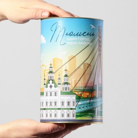 Pig a case XXL "Tyumen", 20 x 12.5 cm-4