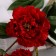 Artificial flowers "Beverly luxury" 60 cm, red