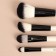 A set of makeup brushes "stripes", 8 objects, a lightning cover, white/black color