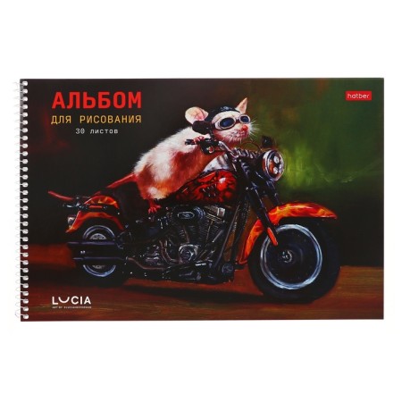 Album for drawing A4, 30 sheets on the crest "Learn yourself!", Cover coated cardboard, perforation, block 100 g/m2, mix-1