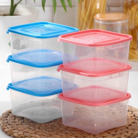A set of square containers for freezing Morozko products, 1 l, color mix-4