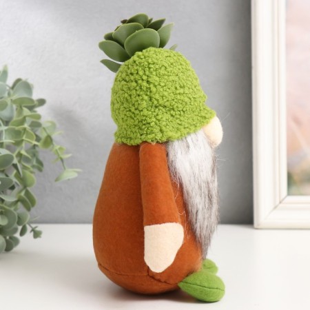Interior doll "Gnome with succulent on the head" 15x9x20 cm-1
