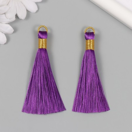 Decor for creativity Textile "Brush. Olivia" Violet set 2 pcs 8x1.2 cm