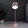 Table lamp "Mimi" LED 3W Dimmer USB pink 8x12.5x32 cm Risalux