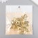 Castle metal for casket gold + nails. set 10 pcs 2.9x3 cm