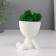 Kashpo concrete mini "Mr. Green on Chile" with moss white 6.5x6x6.5 cm (moss green stabilis)