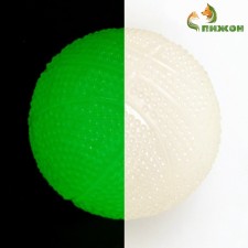 A toy for dogs luminous in the dark, 