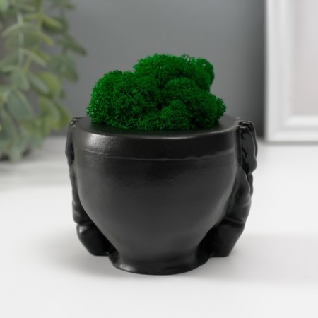 Kashpo concrete "Skull Silence" with moss 6.5x10 cm black (moss green stabilized)-3
