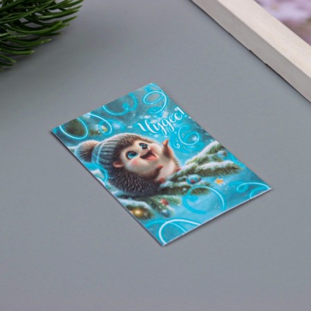 Postcard with seeds "grow itself" "miracles" 5*7cm-1