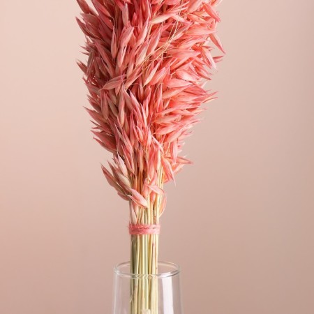 Set of dried flowers "oats", banch length 55-65 (+/- 6 cm), peach-1