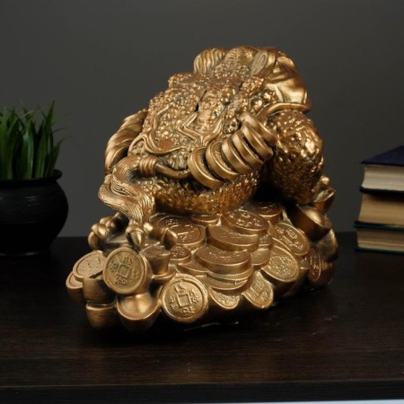 Piggy bank "Frog on coins" 25x35cm-2