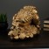 Piggy bank "Frog on coins" 25x35cm